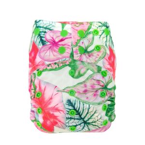 Caladium pocketluier Choice Bebeboo